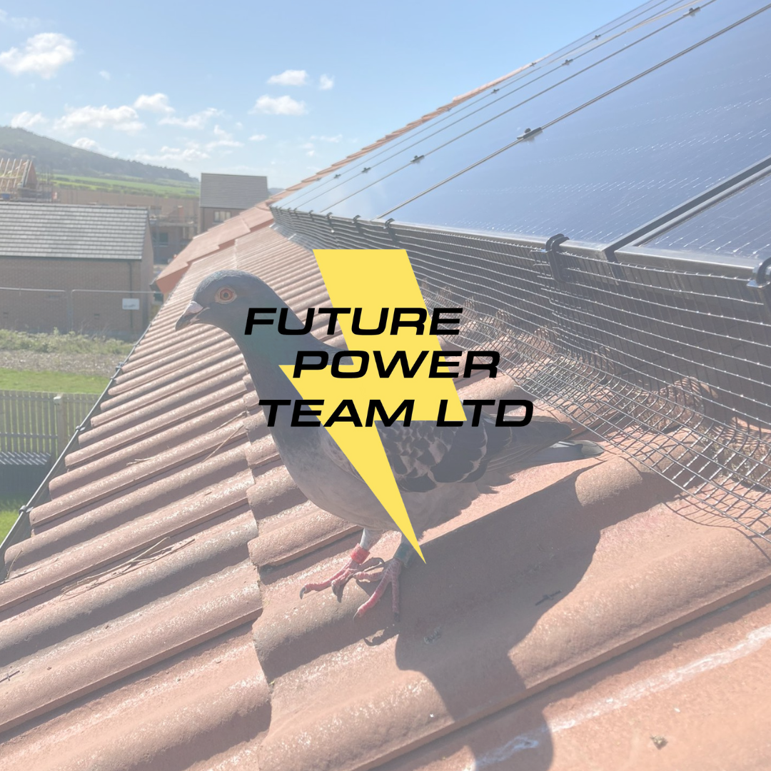 Pigeon Proofing your Solar